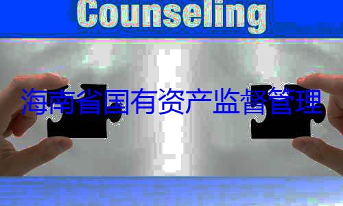 委副书记王资产监督管查调查有福接受审海南省国有理委员会党